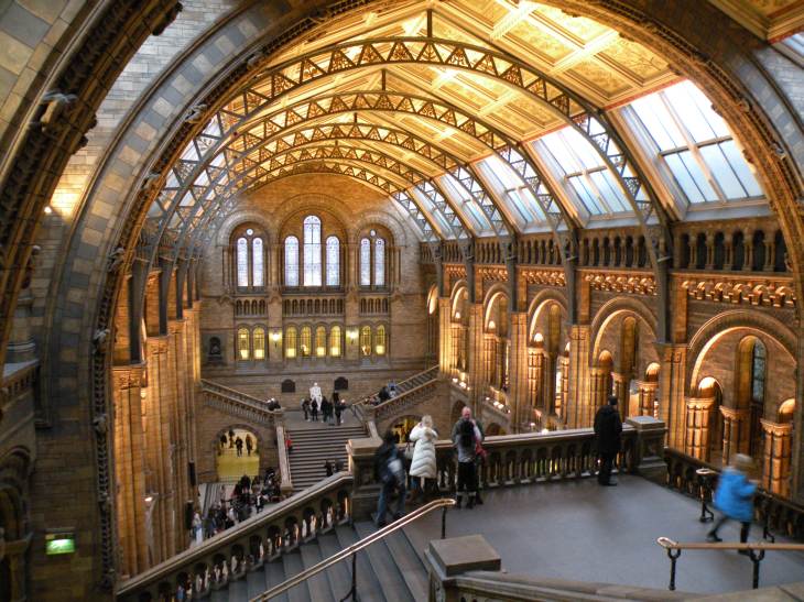  Grand Hall du museum